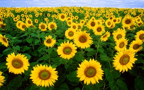 f6964c020f74126c54d457a7476166e7_1765777898_4108.png f6964c020f74126c54d457a7476166e7_1765777898_4108.png